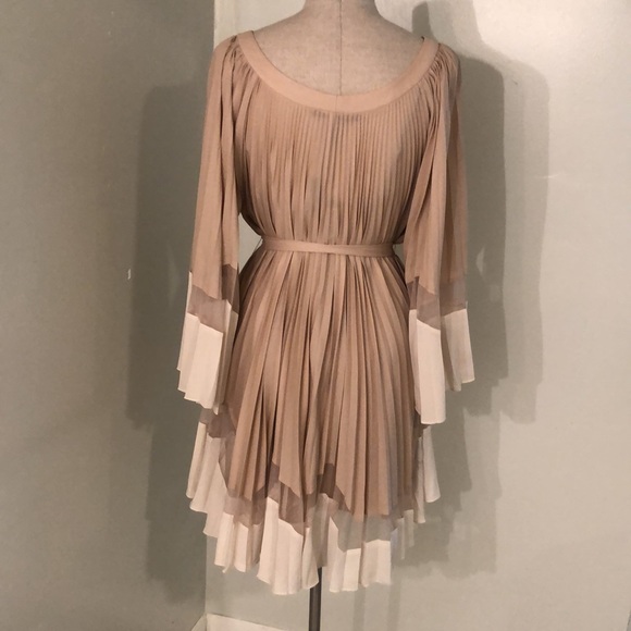 Beautiful BCBGMaxAzria Dress - Picture 5 of 6